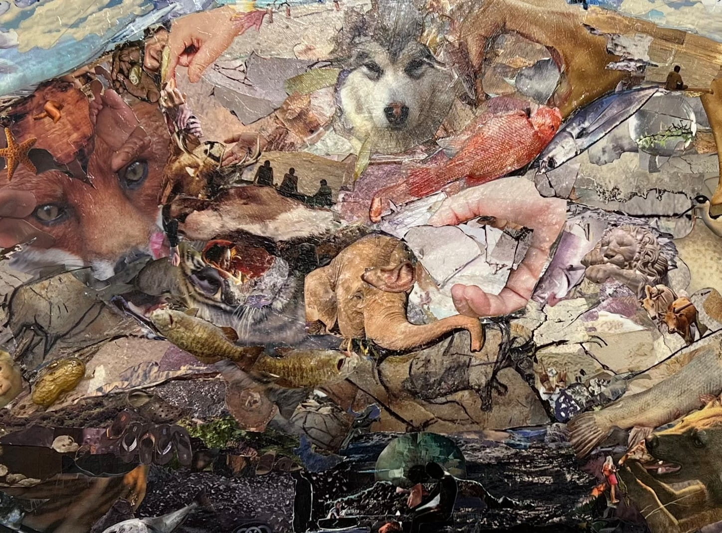 Young Summers collage